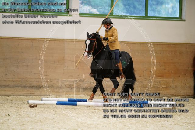 s_K3F03594.JPG